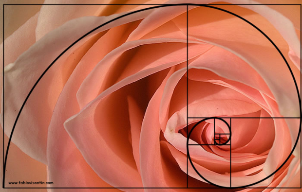 fibonacci