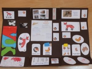 vuk_lapbook1_1000_350